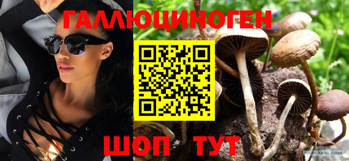 Псилоцибиновые грибы Psilocybe  Вход с VPN  Шахты 